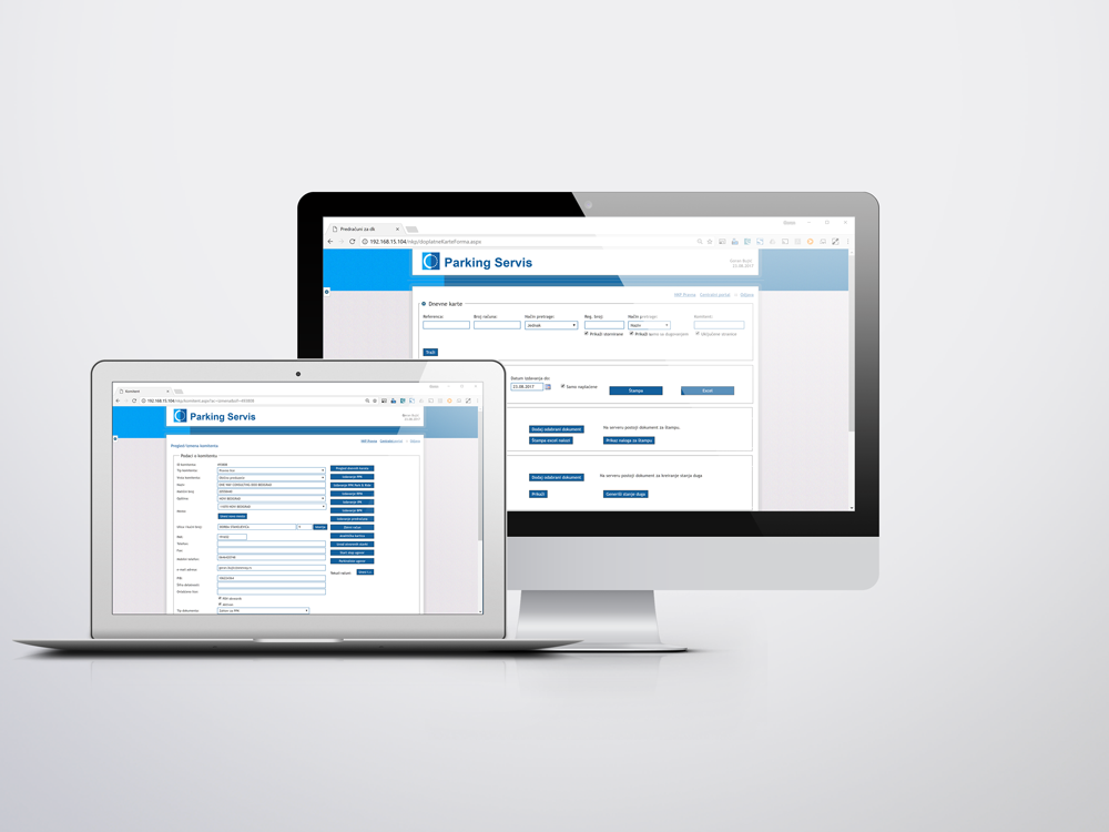 Custom made Sales/Financials for Parking Control